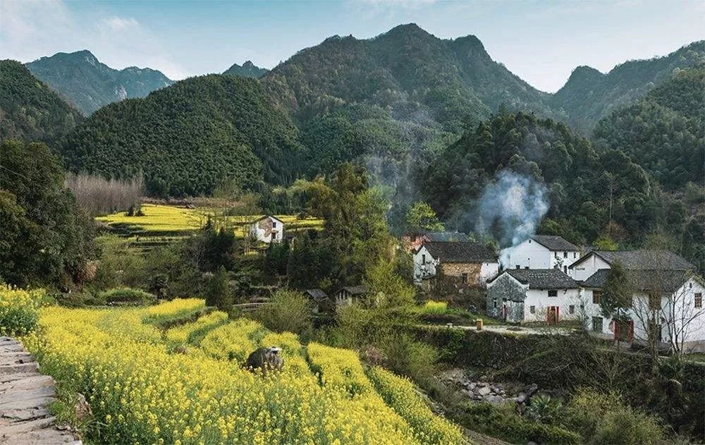 嘉禾乡墅：看团圆时刻“后厨”如何变身“社交中心”？