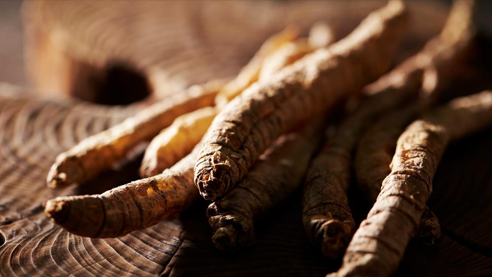 中医治输卵管积水,治疗输卵管积水的中药有哪些