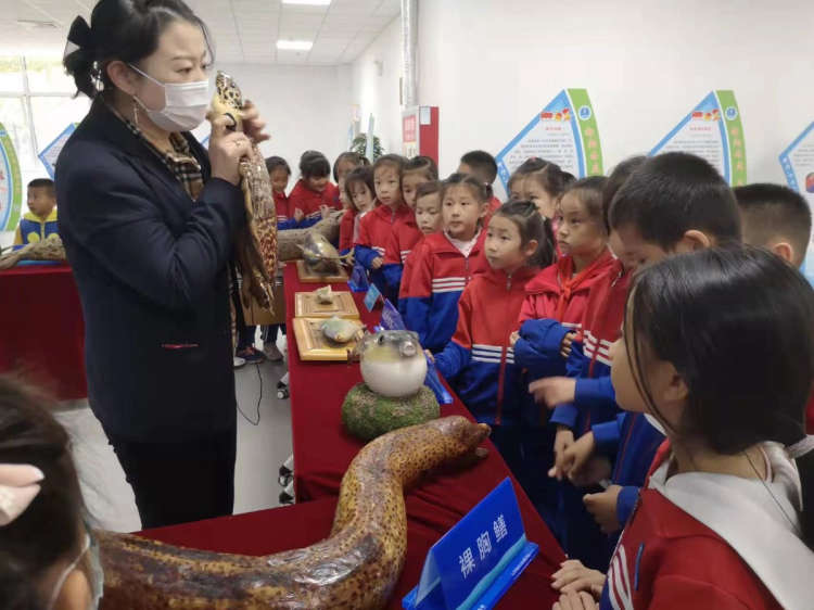 青岛城阳区第二实验小学,青岛城阳第二实验小学地图