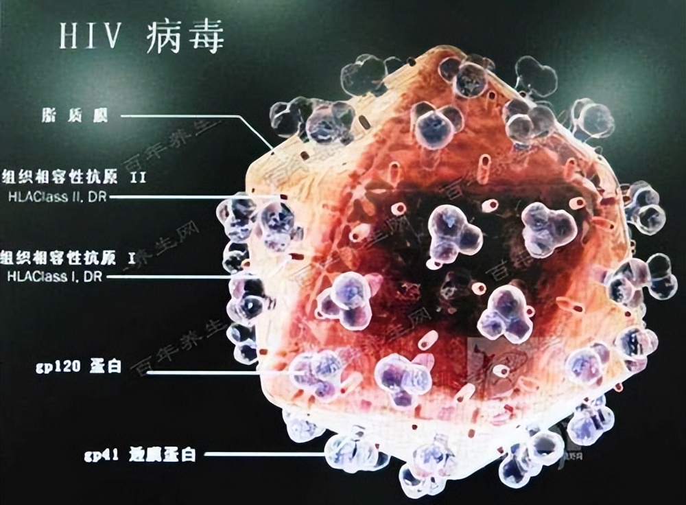 为什么日本人很少有艾滋病,日本为什么得艾滋病的少