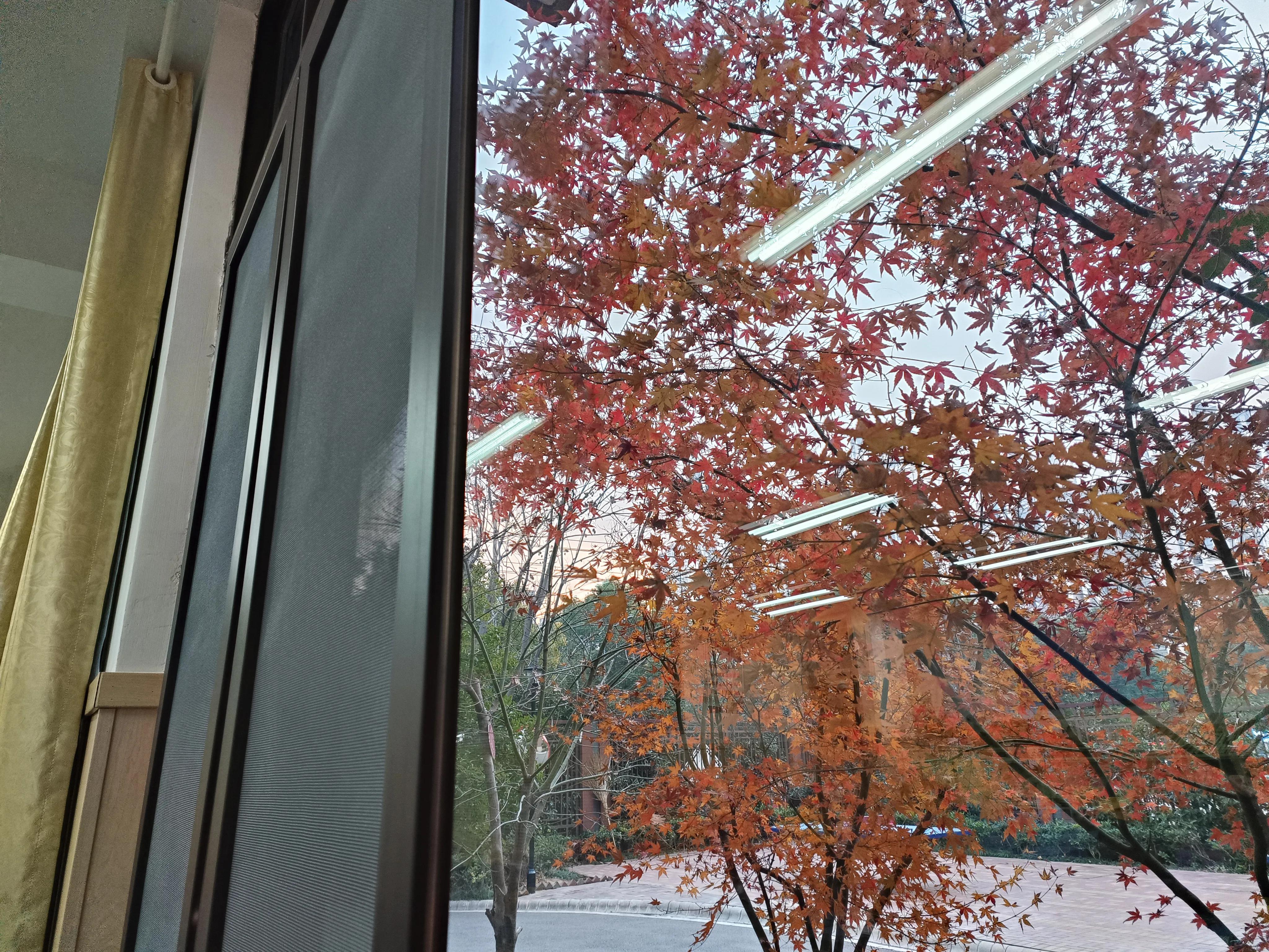 谁让我是天蝎座1