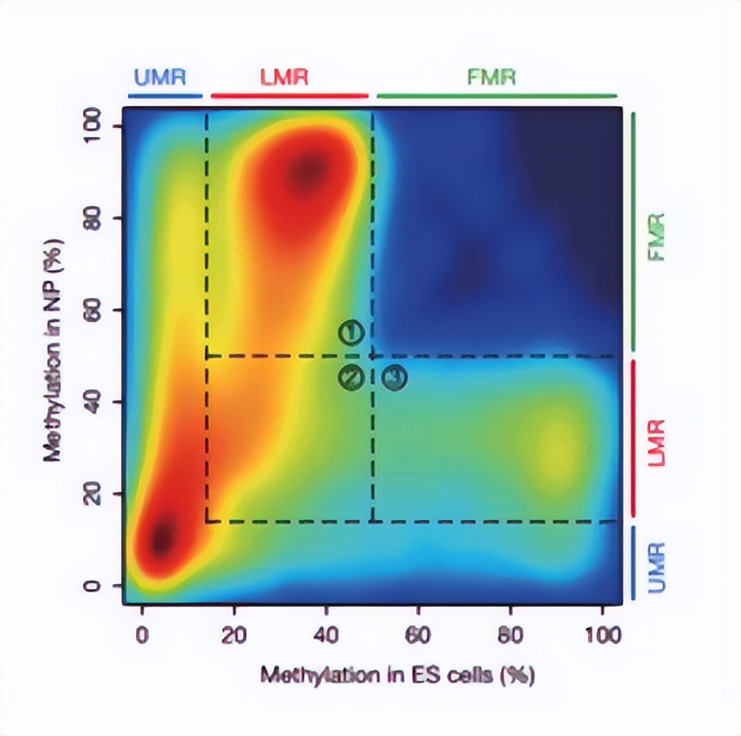 dna甲基化防癌检测的卖点,dna甲基化利器
