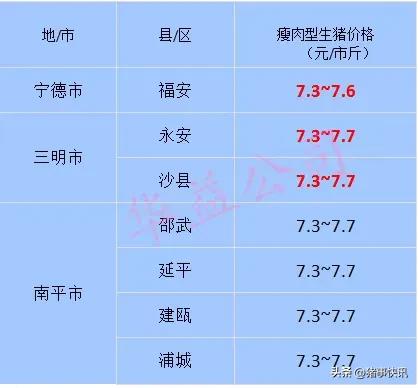猪价最新行情今日福建河南,猪价早知道2020年7月12日猪价