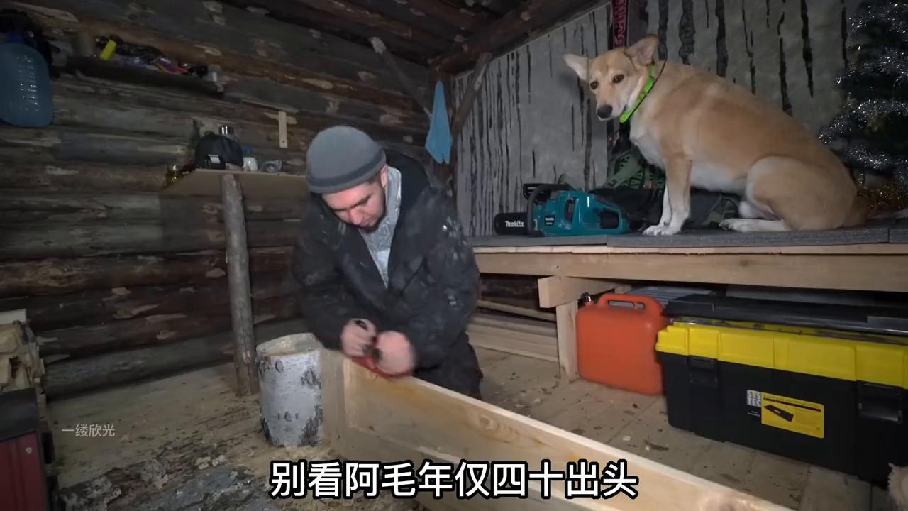 极寒天气搭建树屋,极寒天气荒野建造