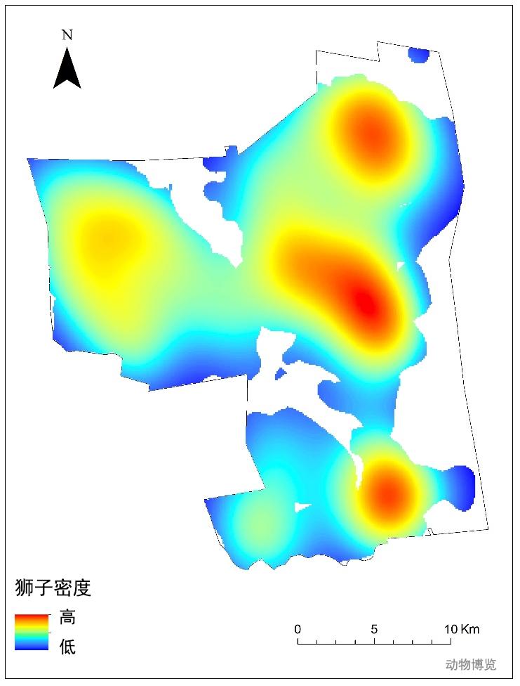 豹子丧命,豹子的悲惨下场视频