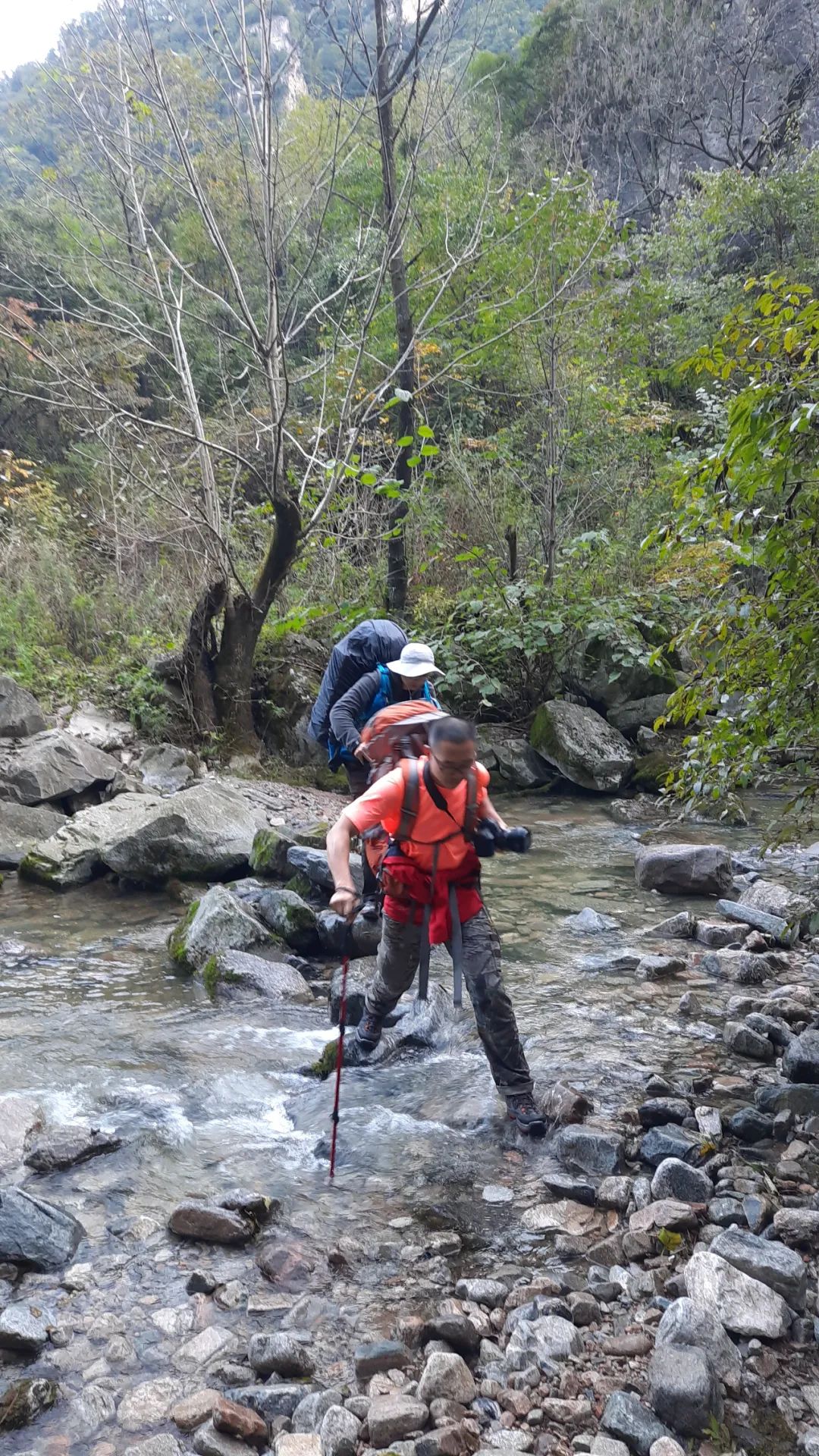 登太白山感受,太白山景区登顶拔仙台