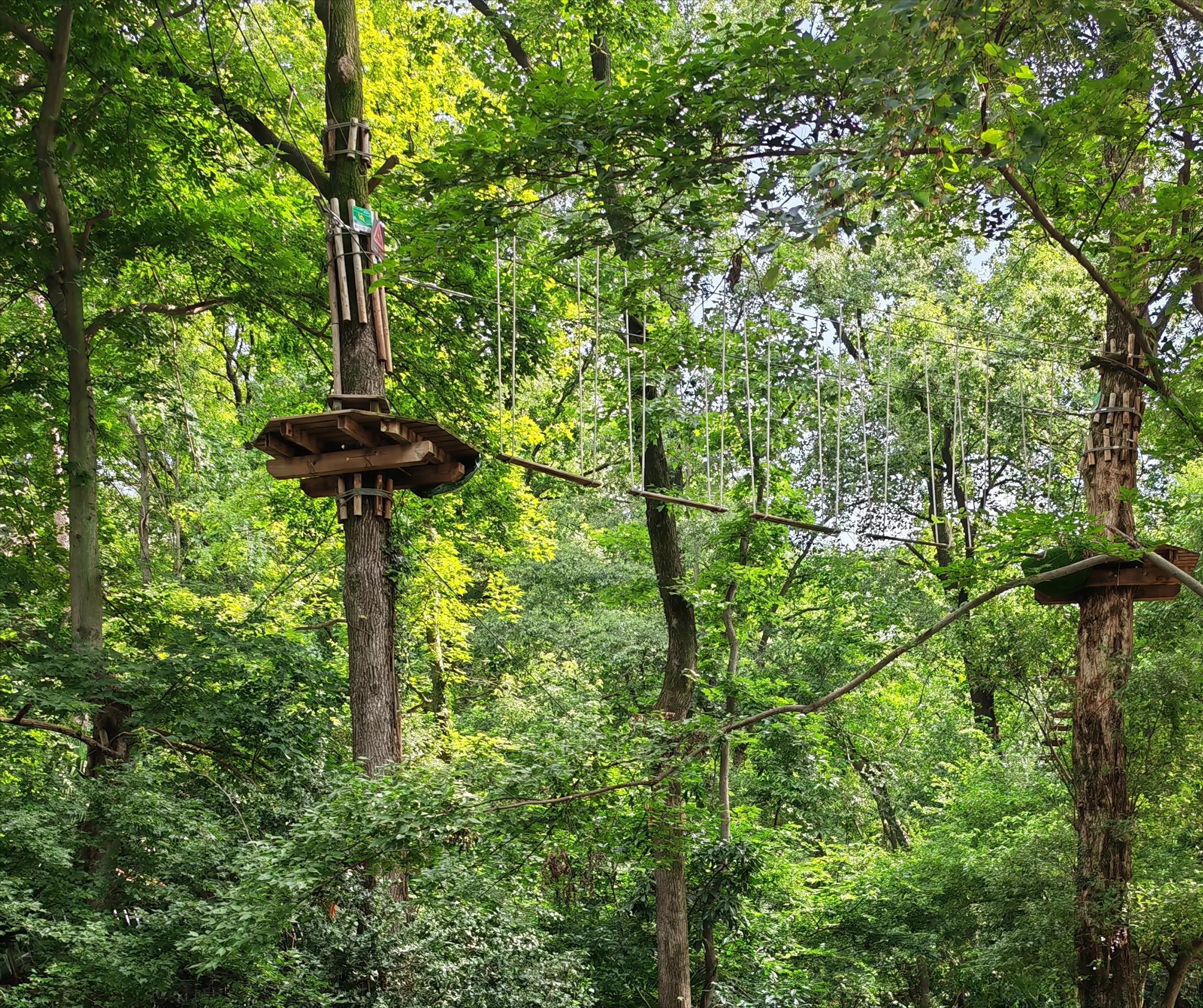 南京带孩子旅游攻略最新,南京亲子游玩攻略一日游价格
