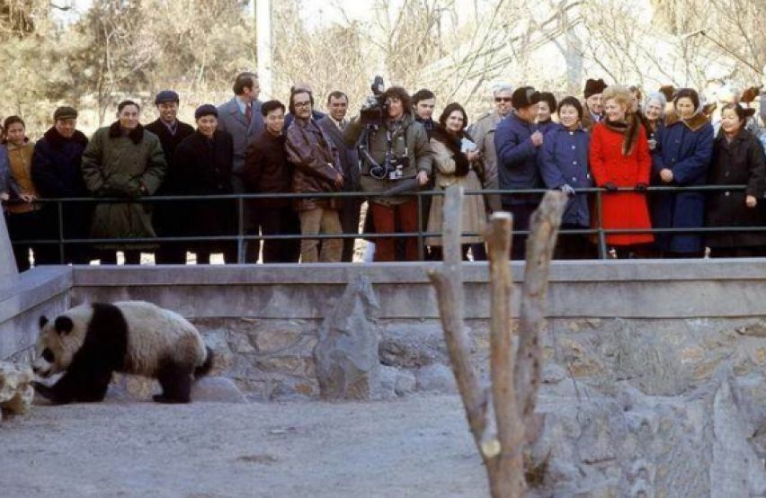 尼克松访华：假装讨要烟盒上的熊猫图案，周总理直接送出两只真的