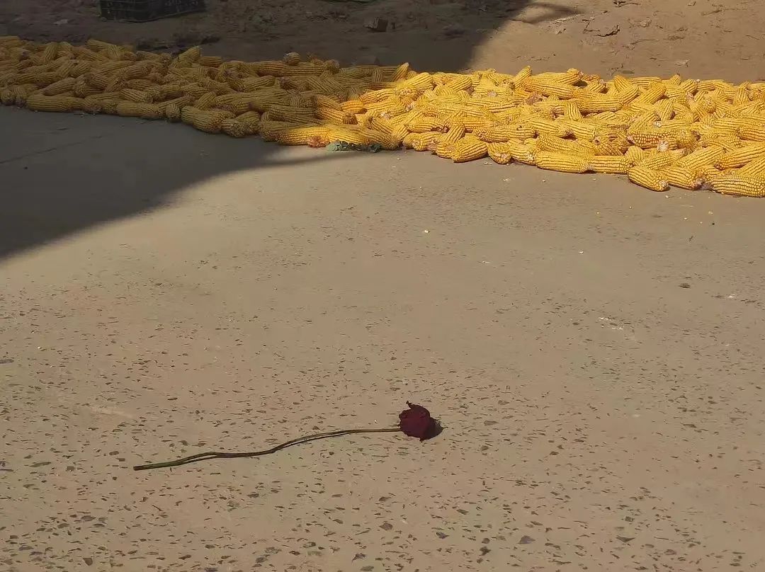 好文案英语,豆瓣上的文案