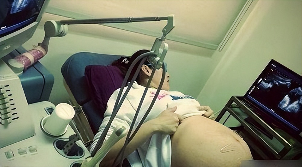 入盆快就生得快吗,入盆了需要多久才能生