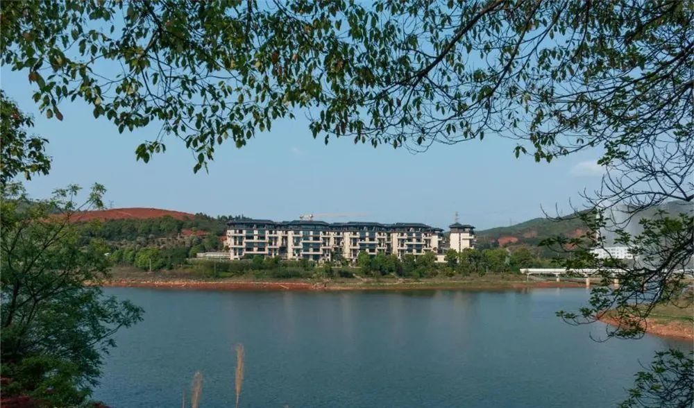 郴州最好的别墅楼盘,郴州市高品质好户型楼盘推荐