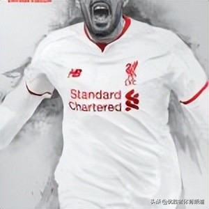 球迷基础知识,球迷知识世界杯