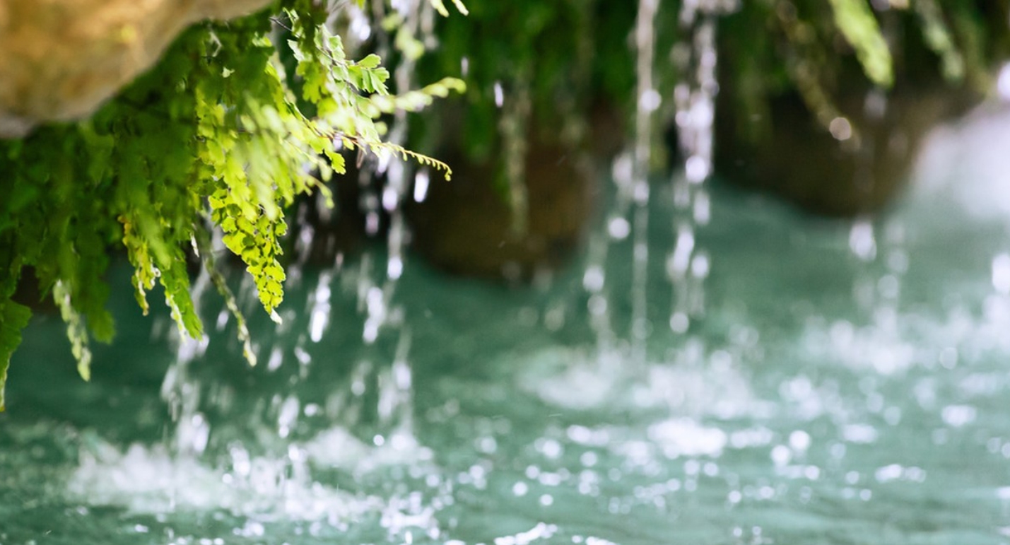 动物的生殖系统和人不一样么,动物的生殖系统跟人一样吗