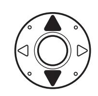 摄影入门知识相机拍摄模式详解,相机对焦入门基础知识大全