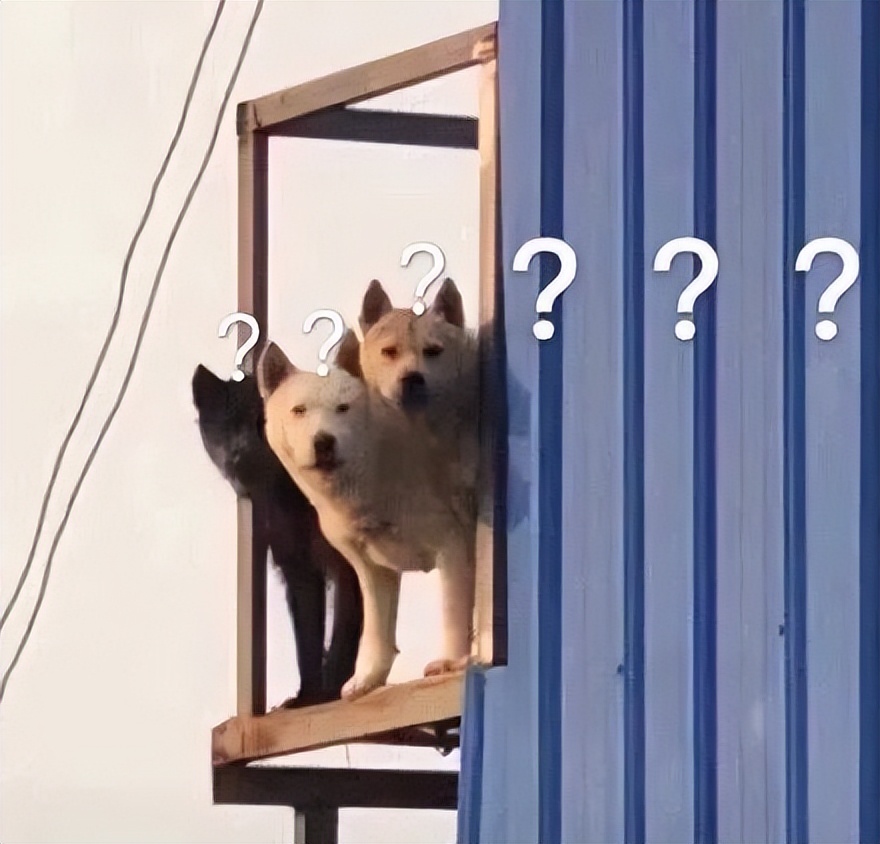 不是莆田的aj,莆田鞋敢买吗