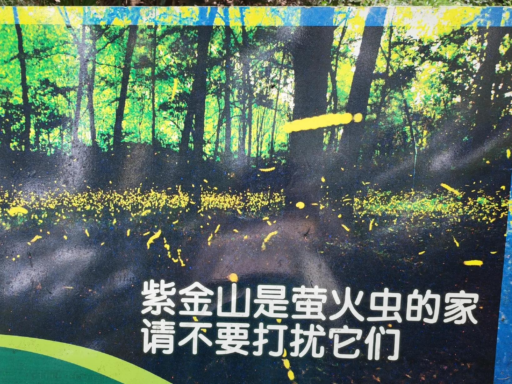 南京钟山亲子游攻略,钟山风景区带娃的游玩攻略