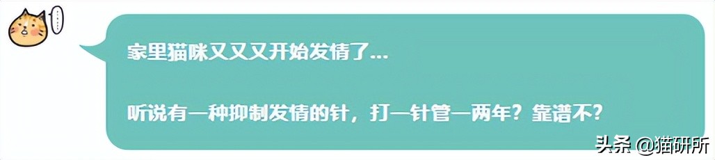 不开刀绝育手术,不打针不手术怎么让母猫绝育