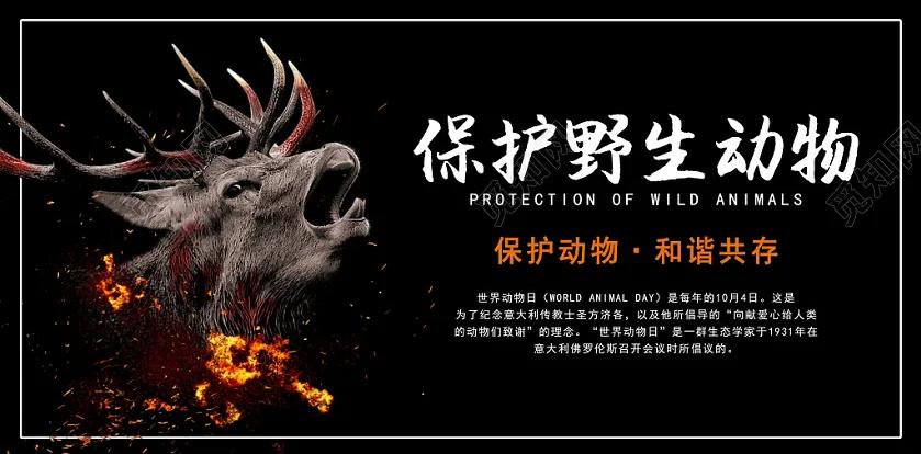 为什么说傻狍子是东北第一大神兽,中国第一神兽傻狍子到底有多傻