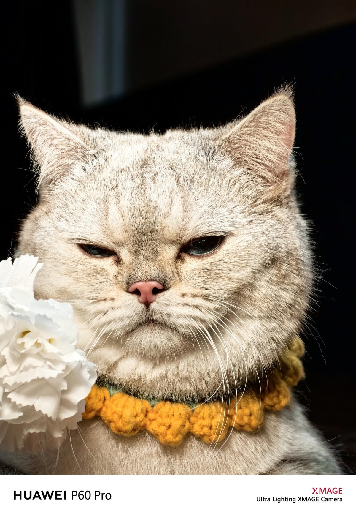 6千元买华为p60pro值得吗,手机热销榜第一名华为p60pro