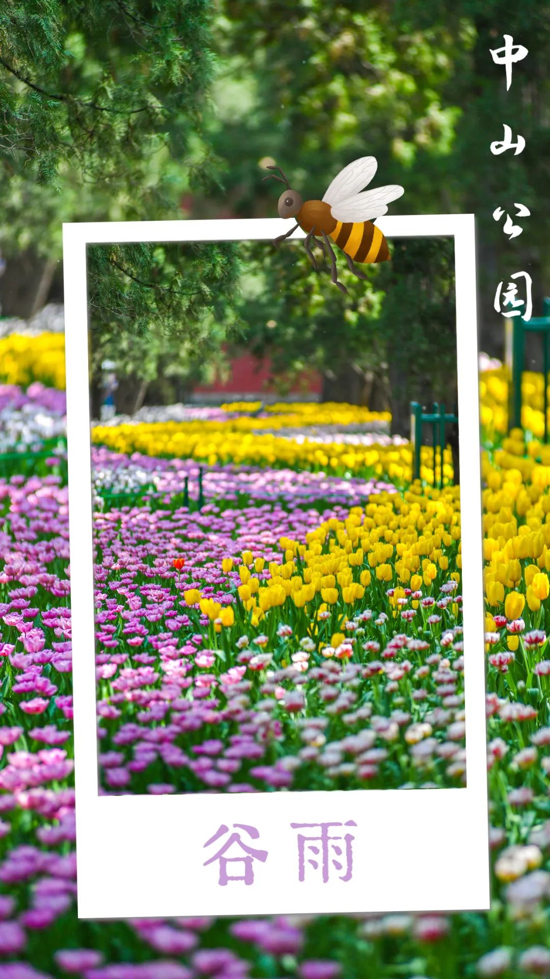 璋烽洦鏄ユ湯澶忓垵闆ㄧ敓鐧捐胺,鏄ユ湯澶忓垵闆ㄧ敓鐧捐胺