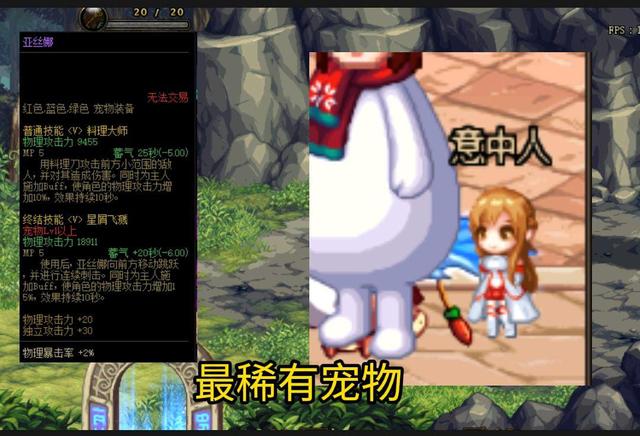 dnf稀有宠物,dnf最容易获得的宠物