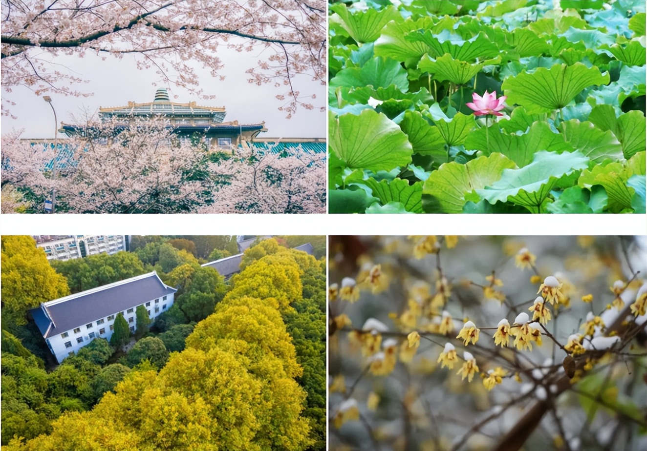 江湖风云起，群英临天下！看百卅武大，横刀立马，仗剑天涯！