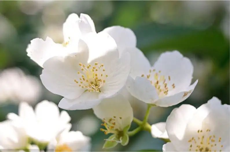 2021年中国旅游日河南免门票景区,2020中国旅游日河南免费景区