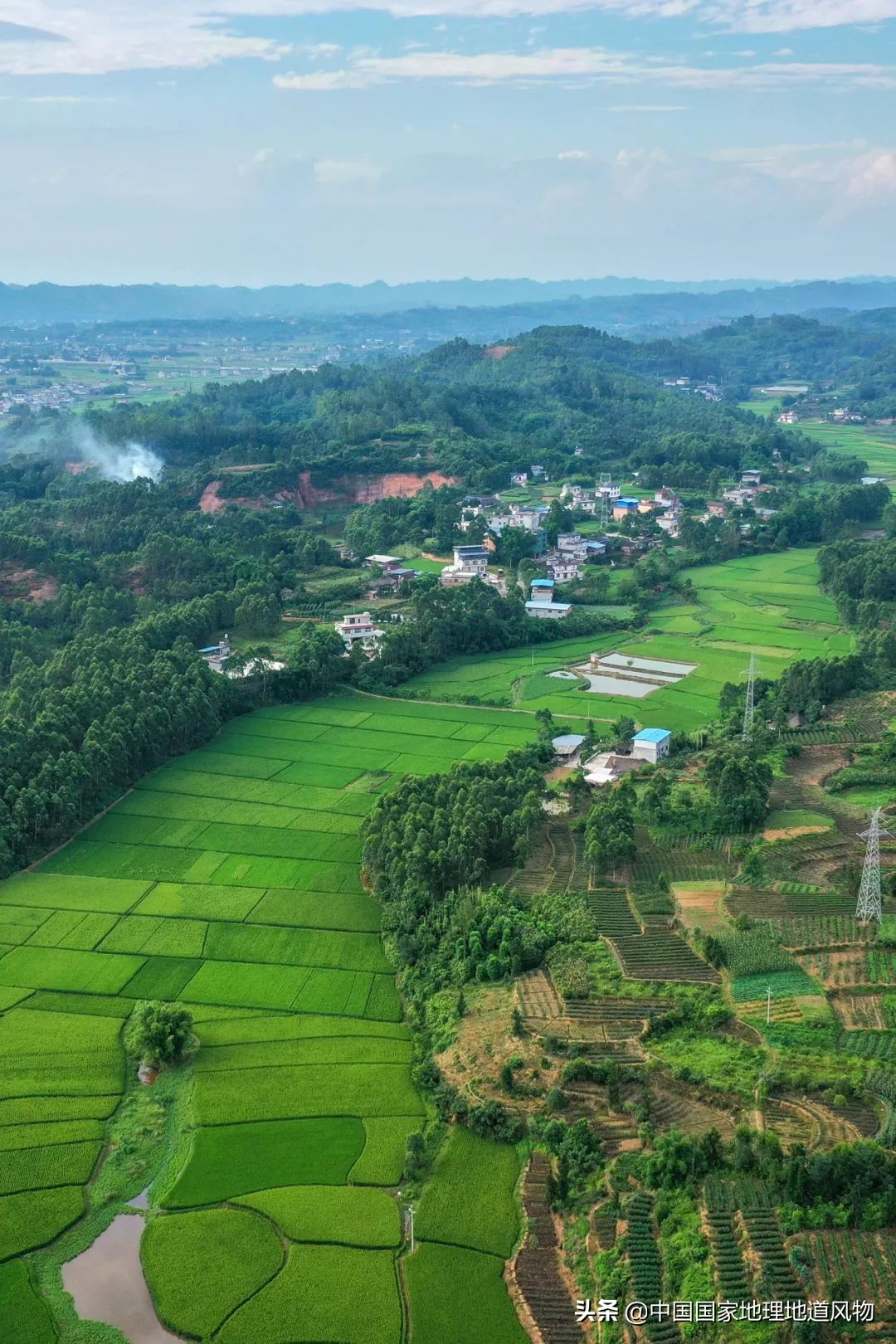 钵钵鸡冷串串家常做法藤椒味,红油串串钵钵鸡凉面