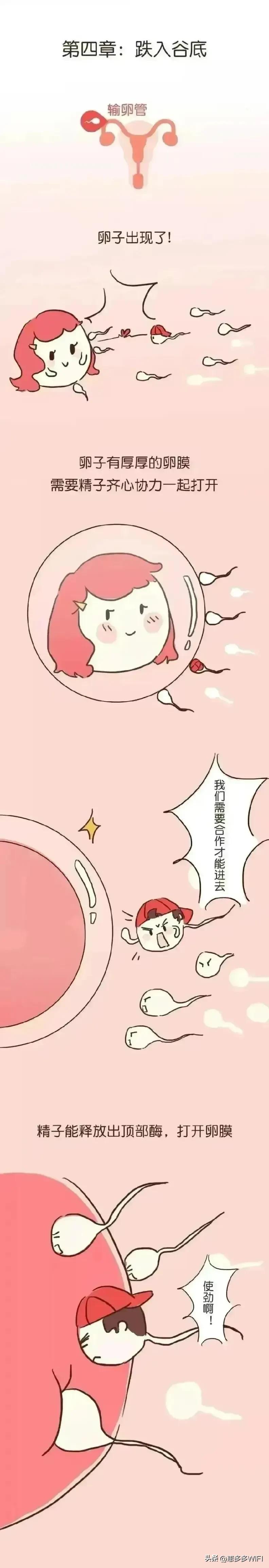 #头条动漫#男人的精子有多励志