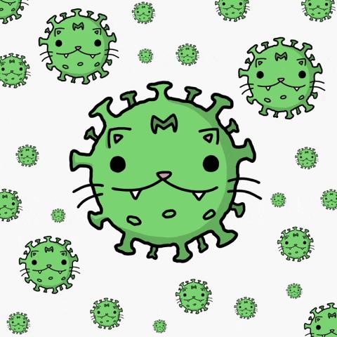 用姨妈血护肤,用经血护肤