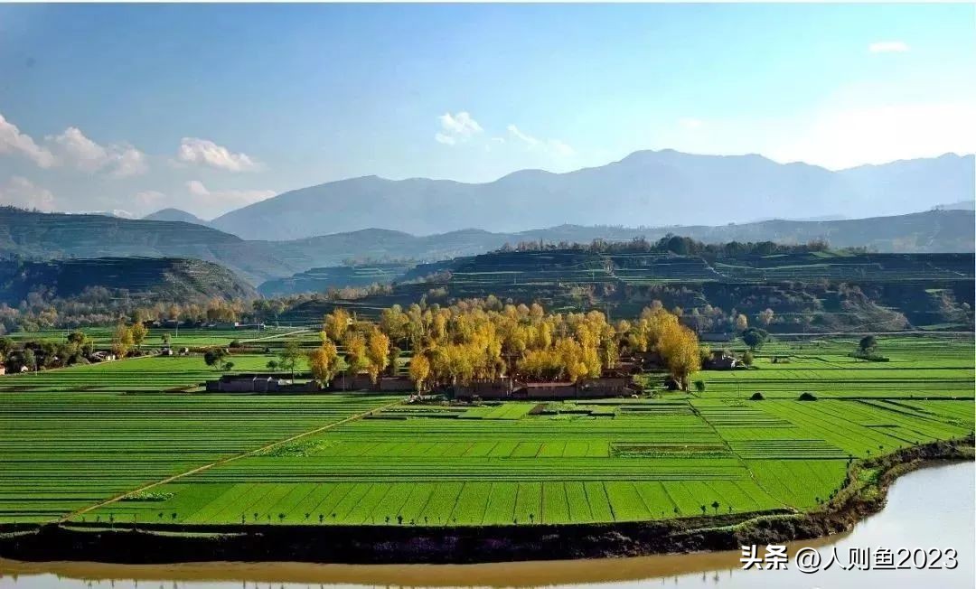 2023年中国农业农村报告,2022农业农村发展趋势