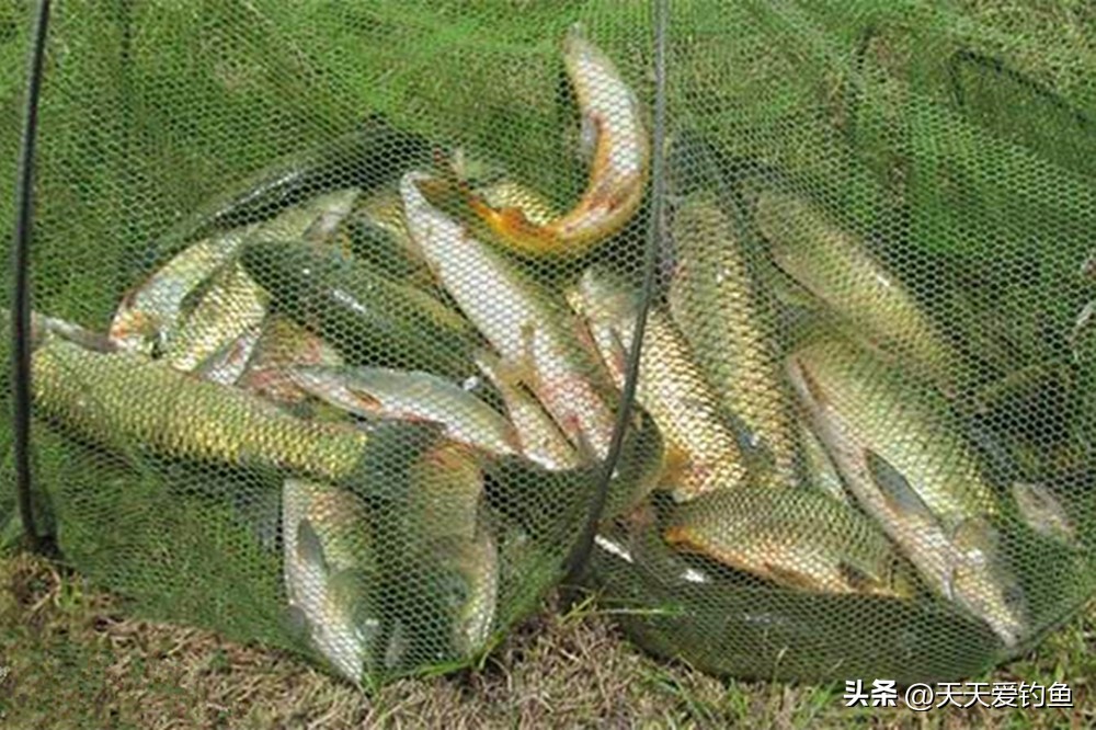 走水刮风怎样钓鱼,应对走水最好的钓法