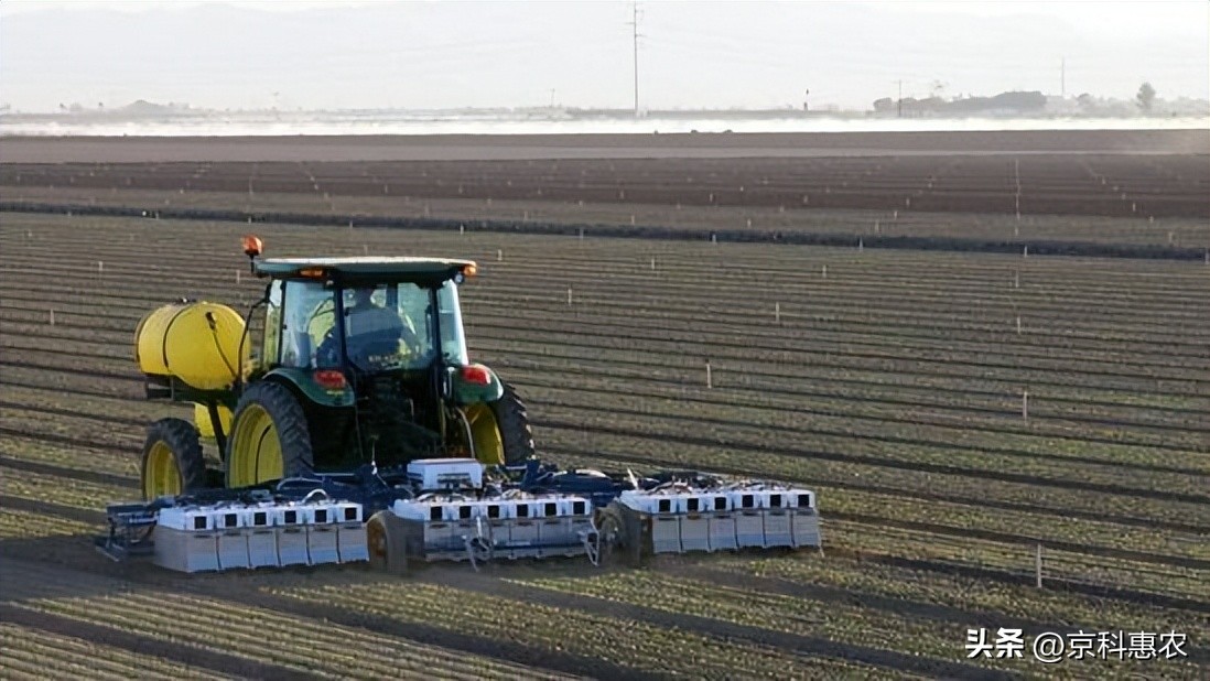 农业人工智能的项目还有哪些空白,农业ai方面的技术发展