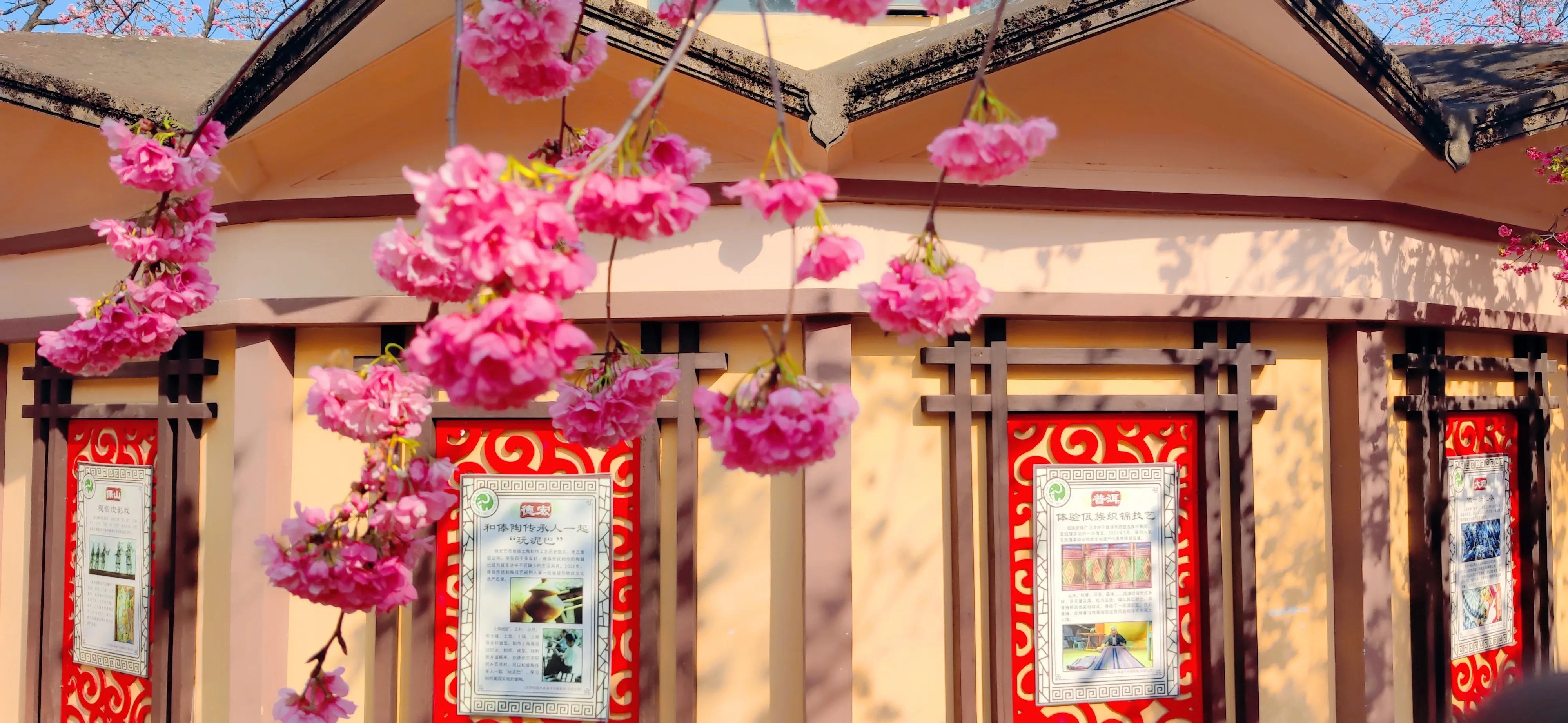 昆明周边一日游旅游景点,昆明旅游必去七大景点推荐