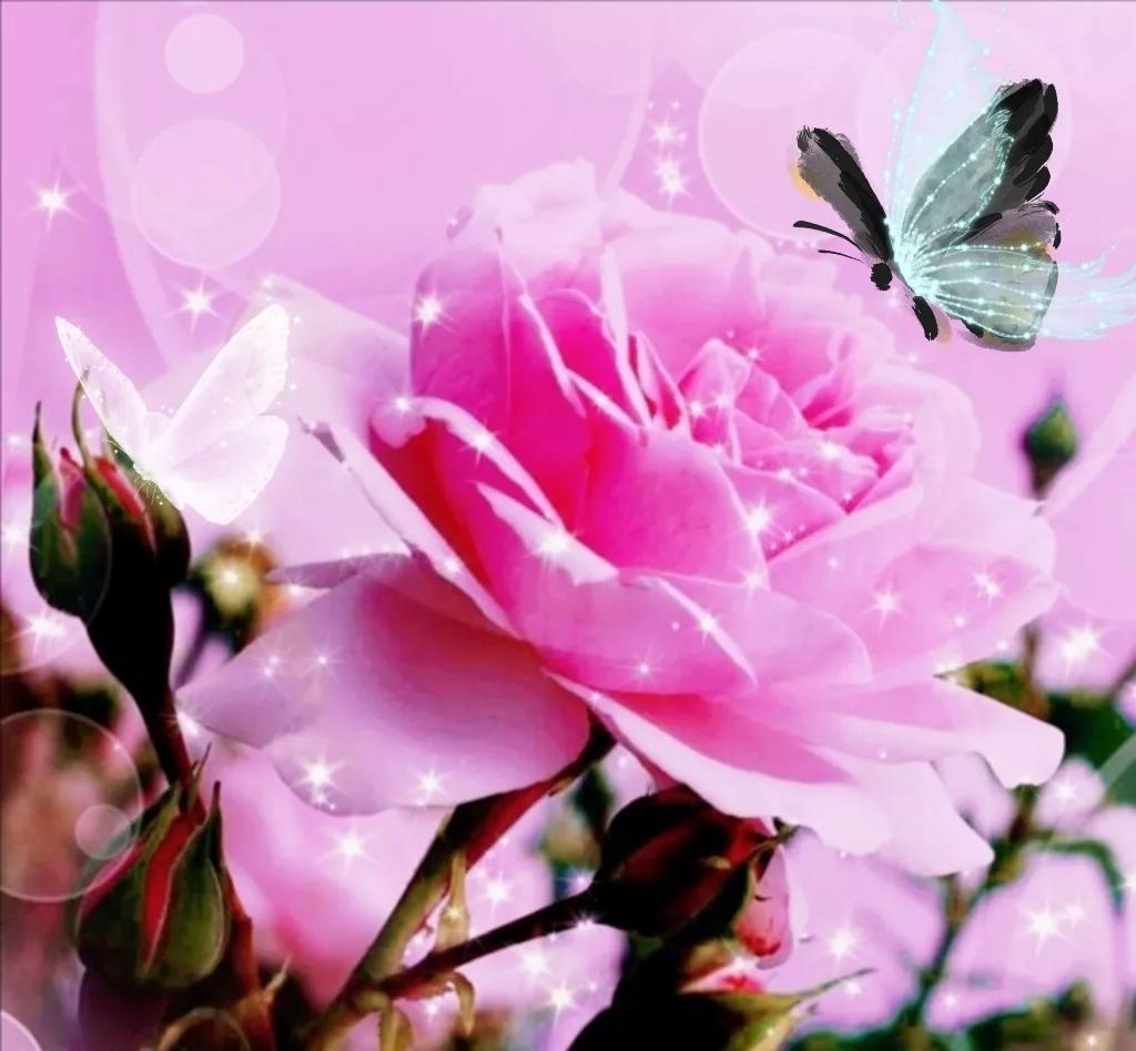 不要想去靠谁靠自己最靠谱,靠谁都靠不住不如靠自己