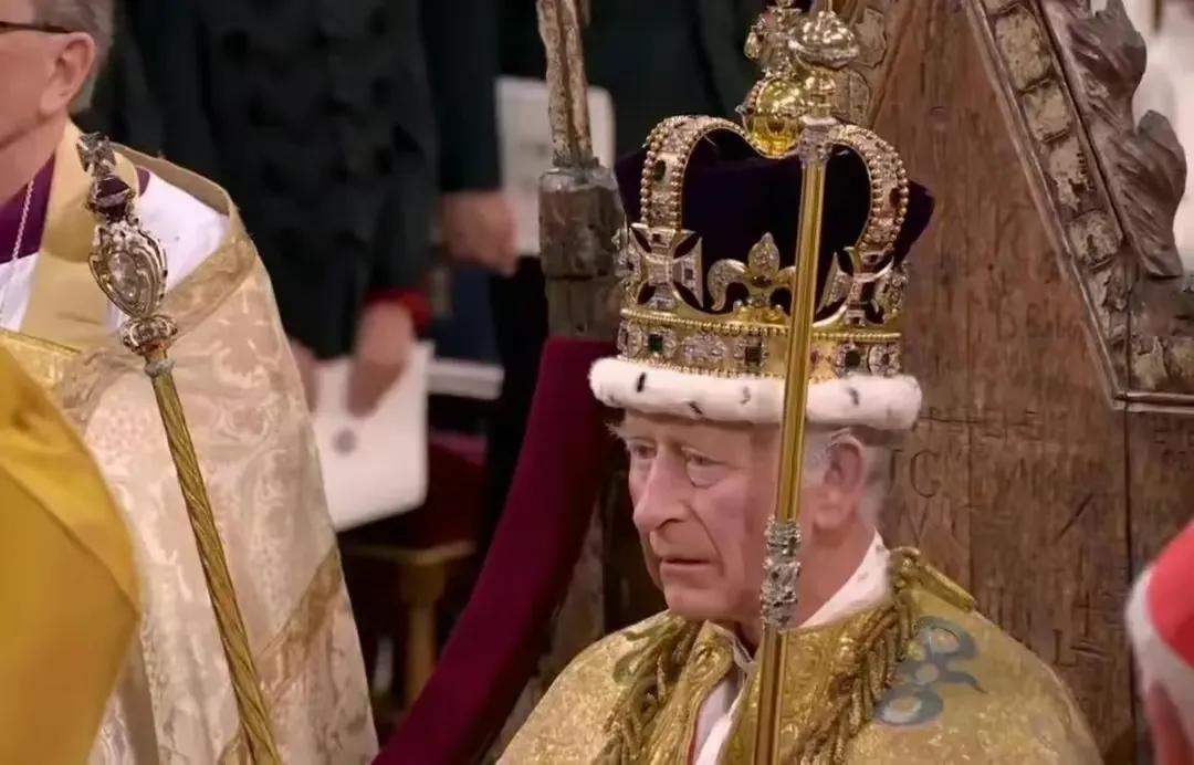 漫画讽刺查尔斯,英国讽刺漫画查尔斯解读