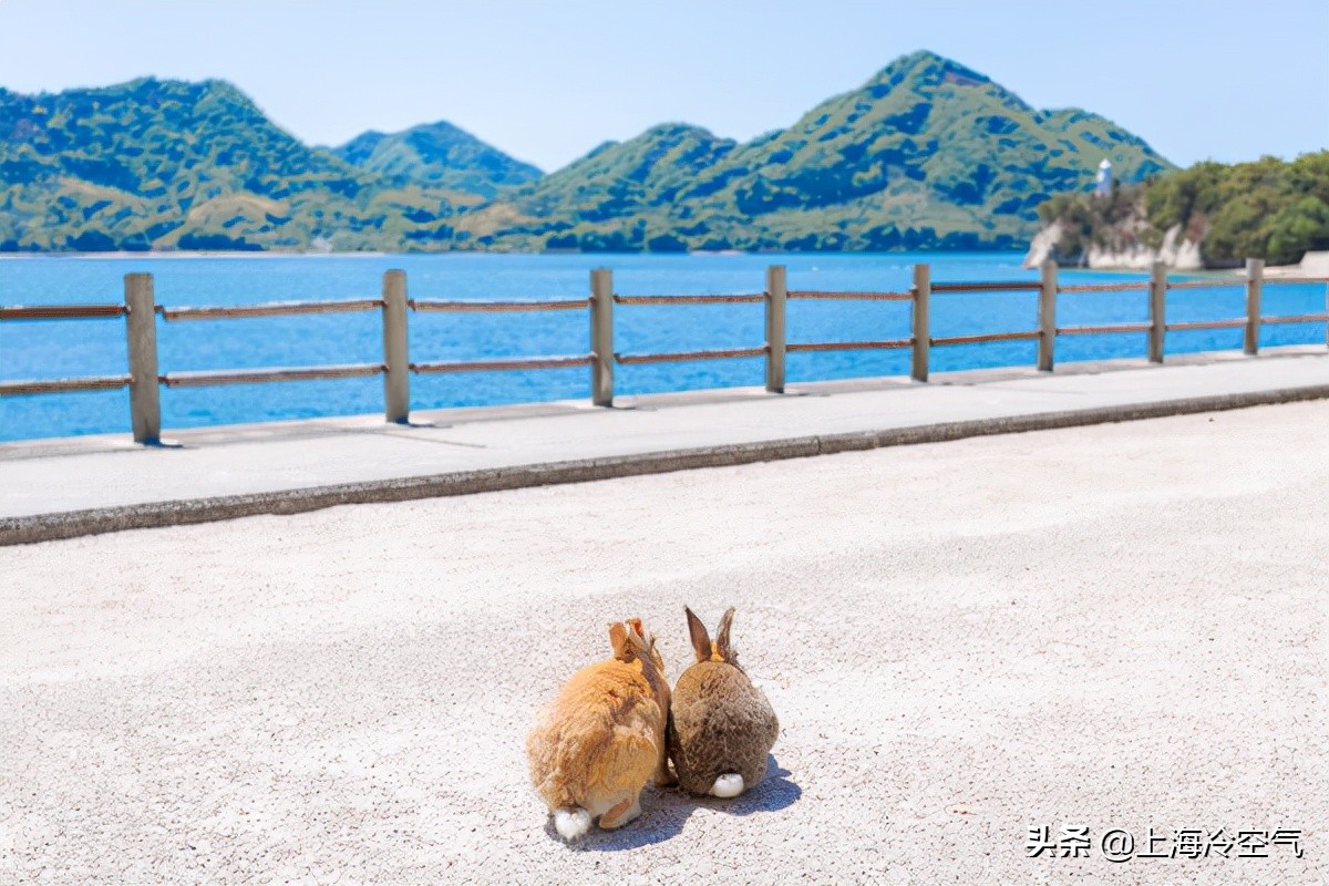 探索不一样的世界,日本小众山阴游玩攻略