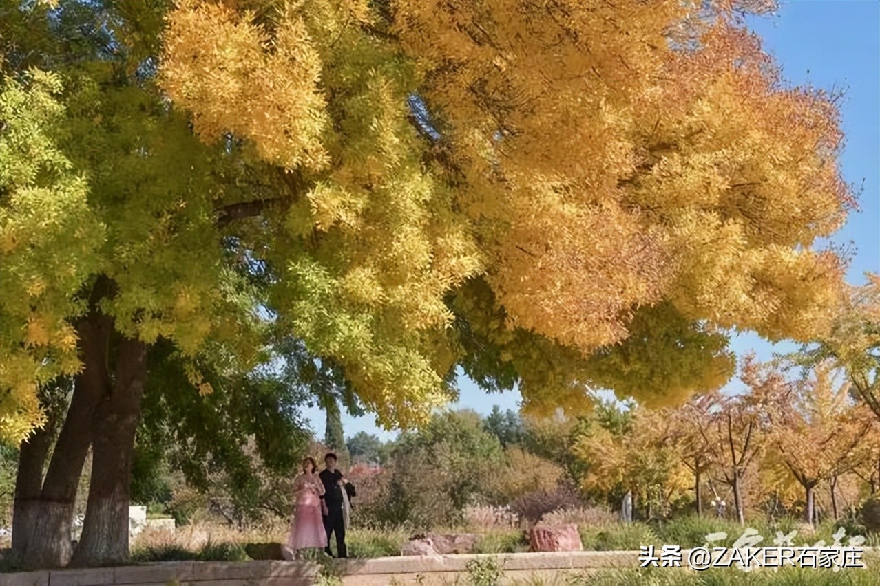 早新闻10.27|关于面向社会公开征集2023年民生实事项目的通告；国考报考指南来了！植物园秋色渐入佳境