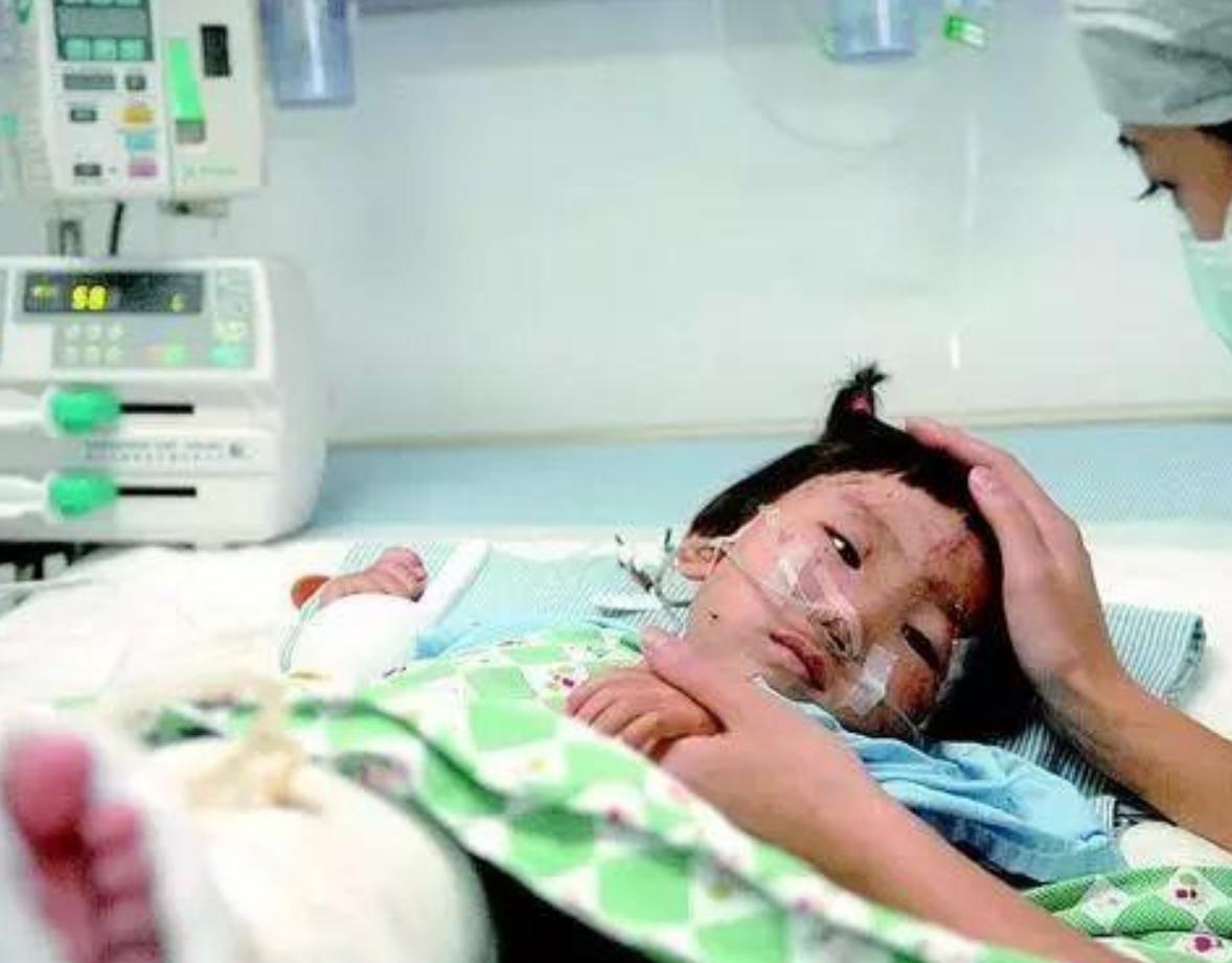 小伊伊温州动车,温州小伊伊事件