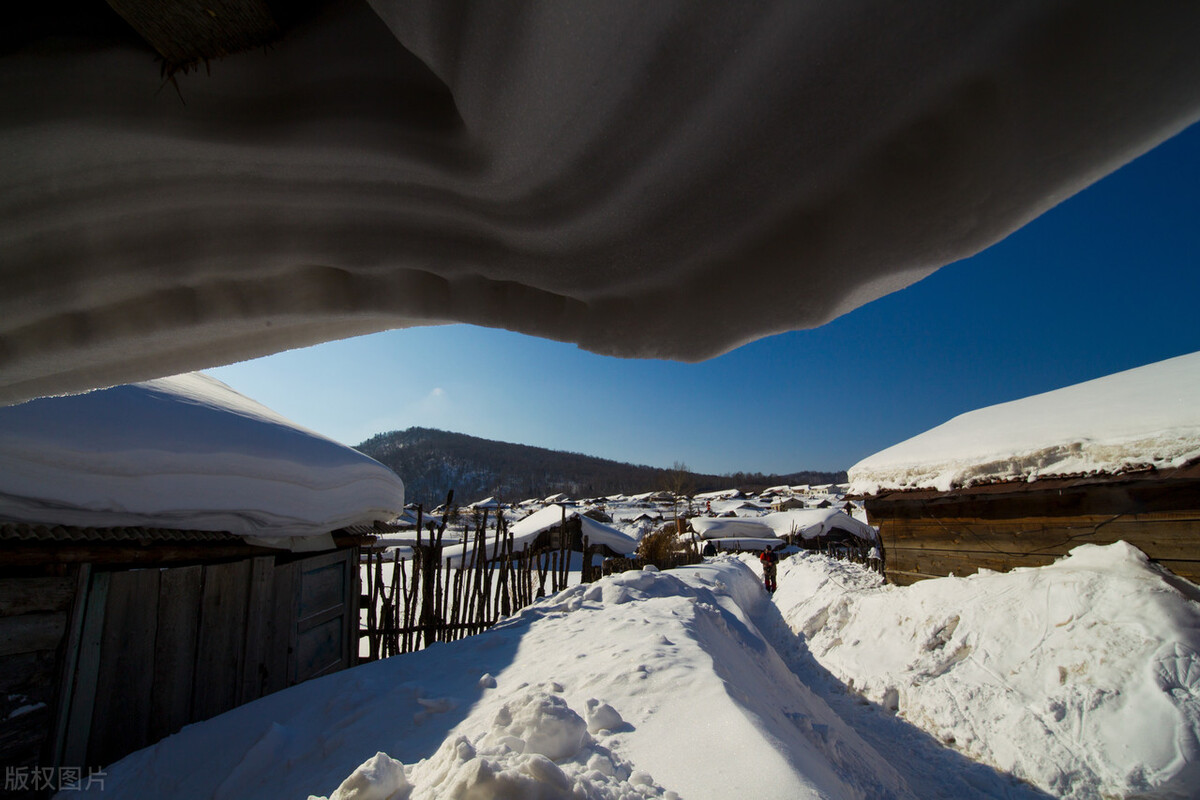 悦读啄木鸟——《四季汉字一岁诗》（21）：大雪