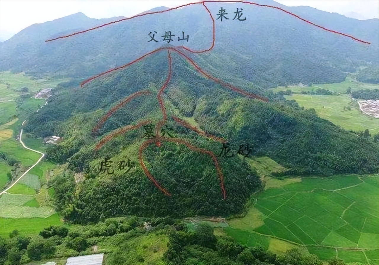 王蓉风水大师,王蓉风水