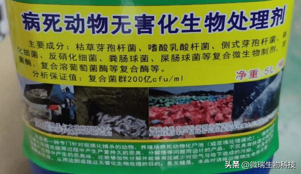 畜禽养殖粪污生物无害化处理,动物尸体无害化处理有机肥