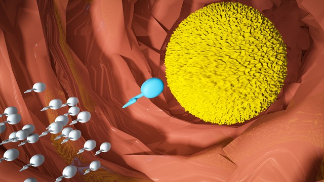 只是蹭蹭，为什么还会怀孕？边缘*行为性**，害惨了太多女孩