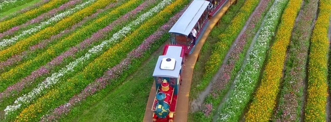 海南包吃住过冬民宿价格表大全,海南乡村民宿攻略