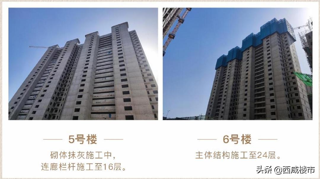 咸阳金科楼盘工程进度,咸阳所有在售楼盘价格