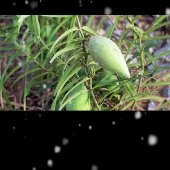 民间传说故事大全兄弟分家,民间传说故事大全诡异