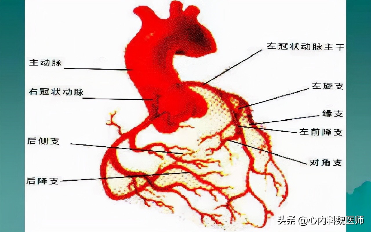 心肌缺血吃什么药效果更好,心肌缺血吃什么药效果比较好
