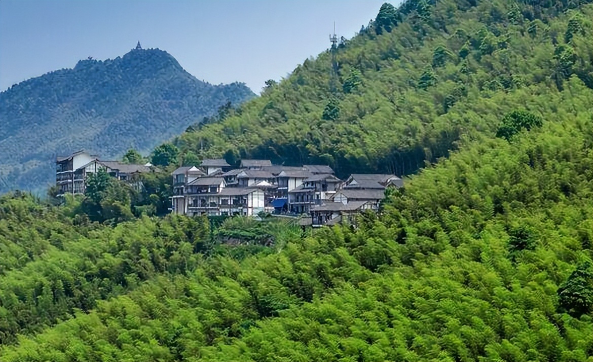 林海山水画作品欣赏,国内十大竹海排名