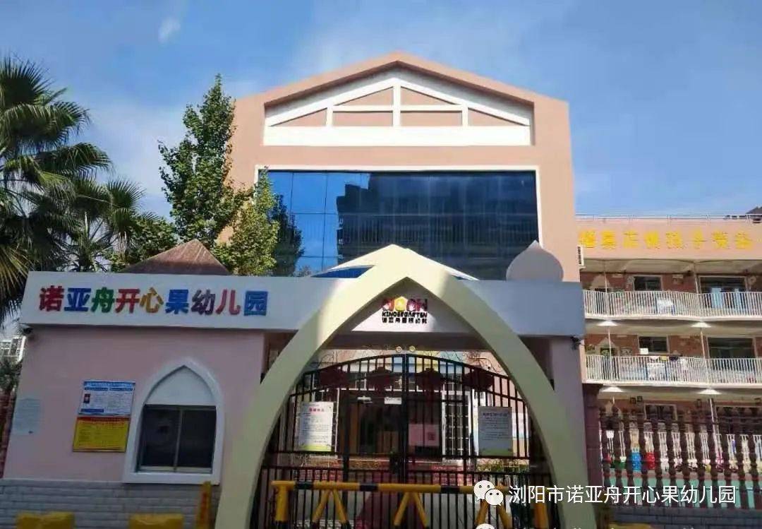 “戏”动童年，“域”见未来——诺亚舟开心果幼儿园区域活动