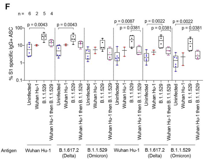 omicron变异毒株感染症状,感染omicron有什么症状